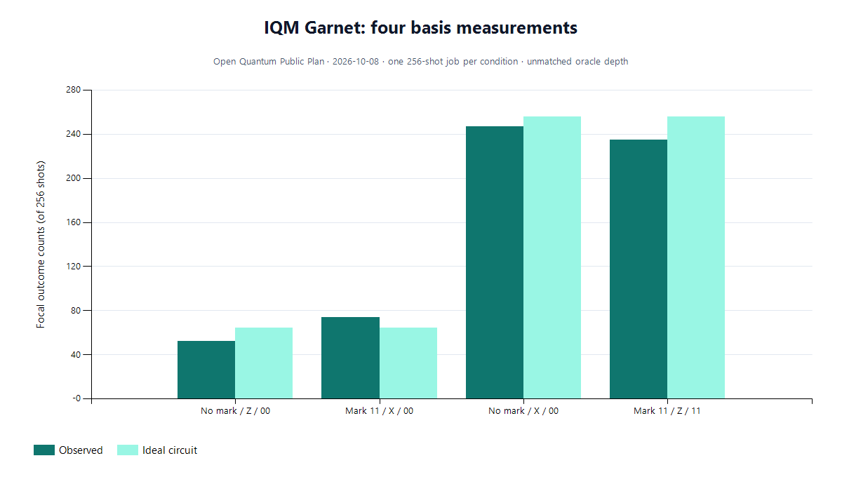 Grouped bars showing the focal observed and ideal outcome counts for four 256-shot IQM Garnet circuit jobs: no-mark Z, marked X, no-mark X, and marked Z.